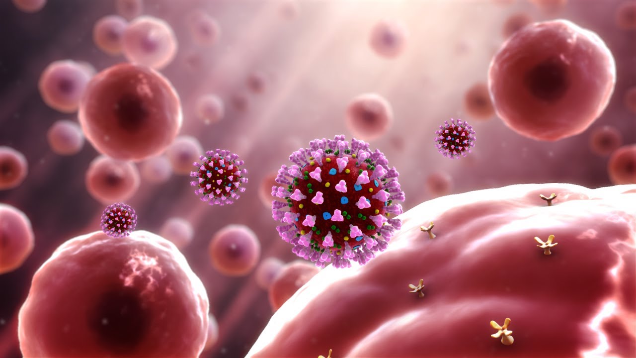  Coronavirus  Symptoms How Far a Cough or Sneeze Travels More